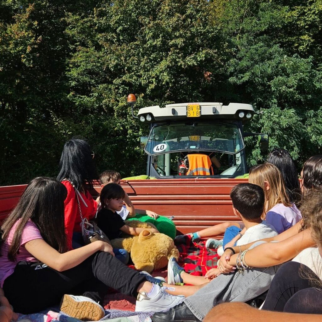 Attività in fattoria per bambini: com'è andata la giornata di Nutriziopoli alla Cascina Teglio? Bambini osservano le risaie da sopra un trattore durante una fattoria didatticha di Nutriziopoli presso cascina Teglio